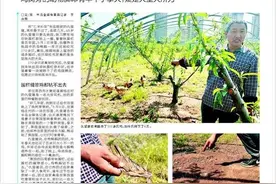 170多只鸡鸭鹅一夜被咬死！鸡窝旁的动物脚印有半个手掌大,疑是大型犬所为图片