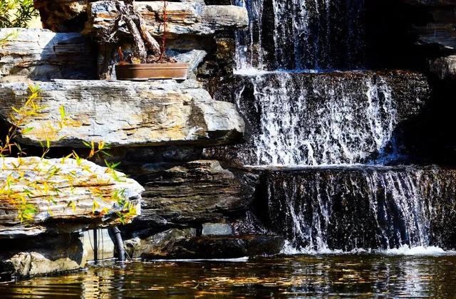 惊艳！身边的北京秋景“天花板”来了！