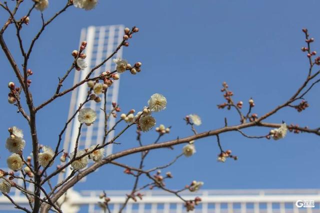 开了！开了！就在中山公园，不少人为她赶来，预计马上爆满……