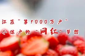 寻味·好日子 | 江苏“第1000万户”个体户的“网红”梦想图片