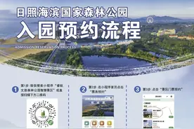 日照海滨国家森林公园入园新规公告图片