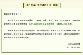 启动限流措施！万岁山武侠城今日停止线上售票图片