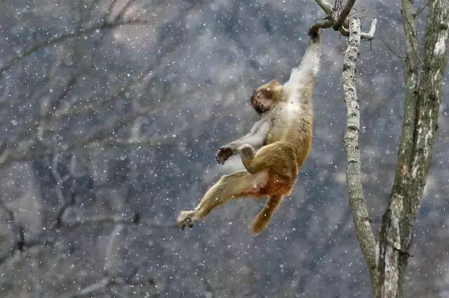 观云海，遇彩林，初冬就该来这里！