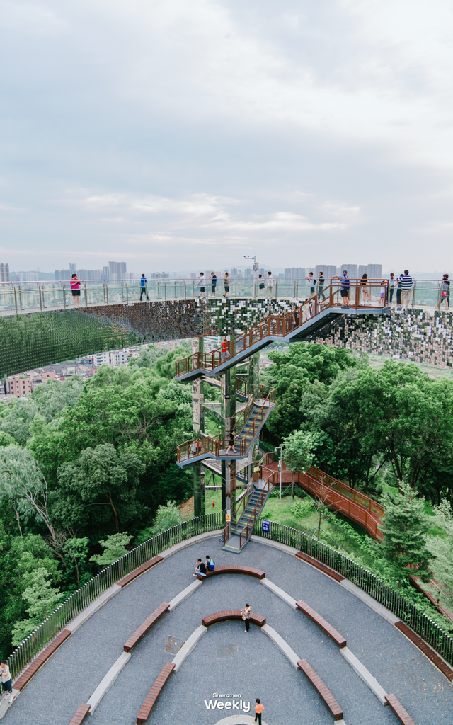 没人觉得龙岗的能量场很高吗？