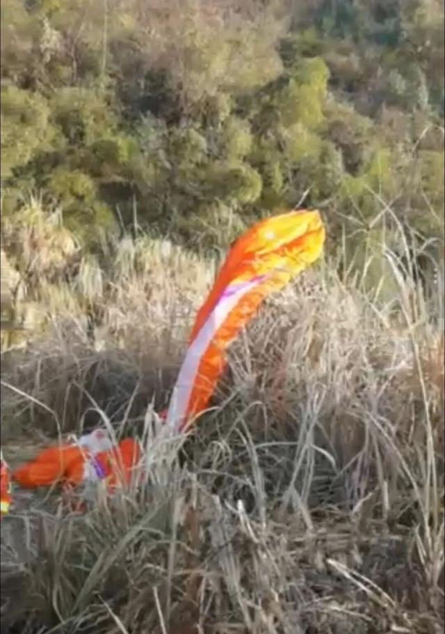滑翔伞失控后，城市中产从「旷野」坠落