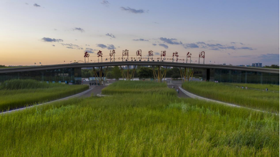 西安冬季观鸟指南 赴一场“飞羽之约”