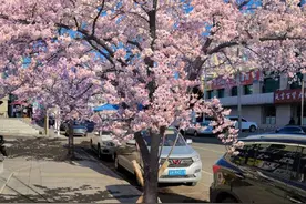 “绿美延吉”：两年绘就生态长卷 边疆明珠绽放新光彩图片