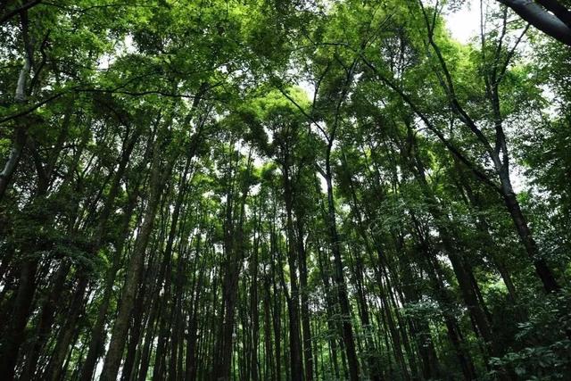 把周末还给山野｜带娃爬山撒欢，沿途风景绝美