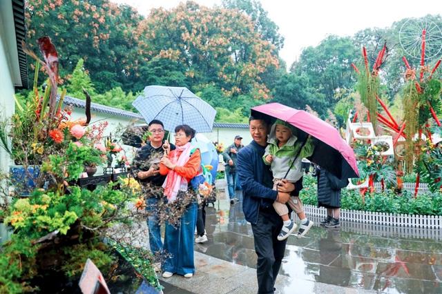 2025年成都人民公园赏菊活动正式启幕