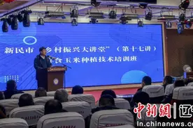 构建富民增收“黄金产业链” 新民市“乡村振兴大讲堂”开讲鲜食玉米种植技术图片