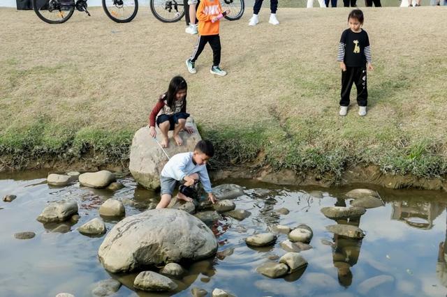 自然里栖居、乡村成乐园，陈村如何写就“诗与远方”？｜蝶变·新生——顺德十镇街“百千万工程”成效巡展③