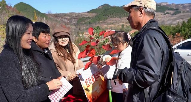 济南市莱芜区：千亩红叶“染”出文旅新画卷
