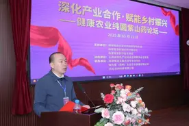 政企研齐聚，共绘麻栗坡有机纯圆紫山药产业新蓝图图片