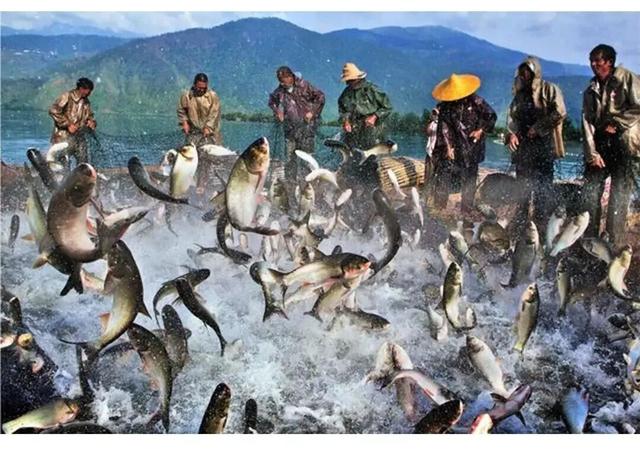 【跟着川超游凉山】抢票啦！2025西昌邛海开海节开票啦！！