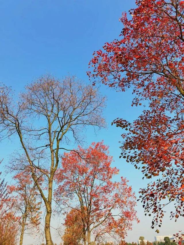 别眨眼，接下来的新干是这样的→