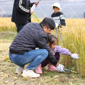 N重惊喜~南湖的周末，无限欢乐！