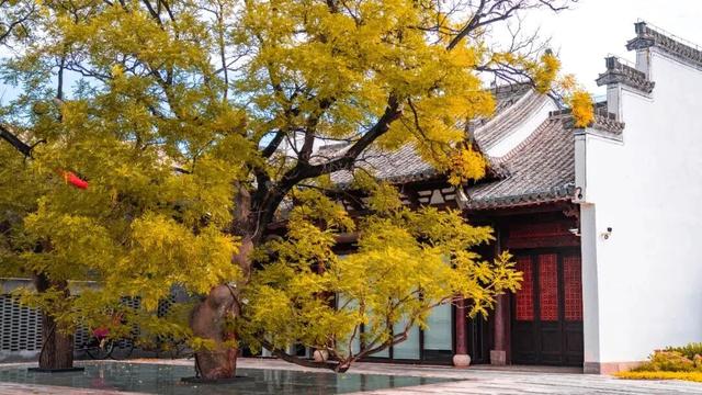 多彩京秋各区巡游 | 延庆区“赏秋日记” 一园秋色，满目画卷