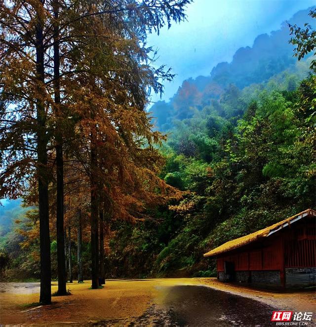 岁暖时刻丨奉嘎山：一座会呼吸的山，把人间烟火酿成了诗