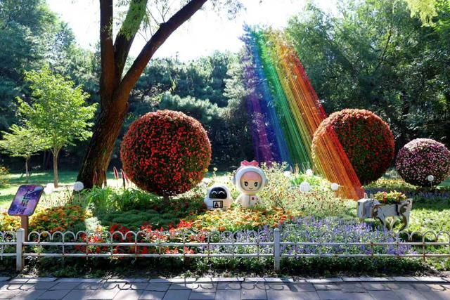 秋季赏花潮来临，北京市属公园发布40余处小而美赏秋花境