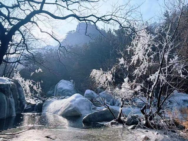 开局“十五五”奋斗正当时·青岛新担当｜开通海上新航线、山顶路网贯通……崂山风景区未来五年要推动景区贯通