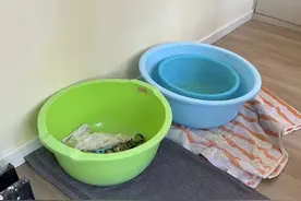 旧房改造遇汛期30多户居民家漏成“水帘洞”，修缮后续来了图片