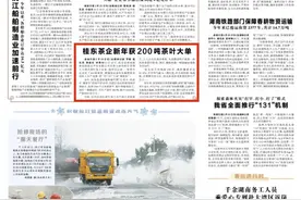 桂东茶企新年获200吨茶叶大单图片