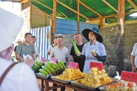 良种上高山 托起振兴梦——闽侯高山农业科技示范基地见闻图片