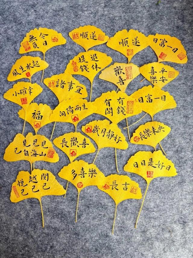 秋日限定“双骄”：从赏到玩转的完整攻略！