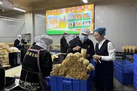 同比增长12.8%！广东跑出普惠金融“加速度”图片