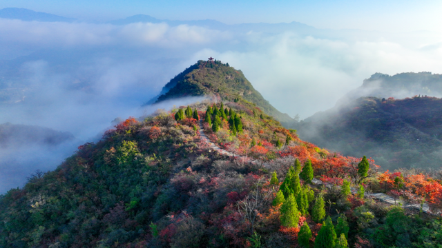 “双节”洛阳文旅放大招！免票、半价、折扣齐上阵