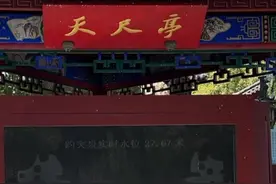 记者实探济南趵突泉“猪锦鲤”减肥成功了吗？工作人员：还是很肥图片