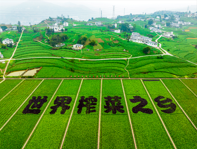 何以重庆｜涪陵：再塑金名片