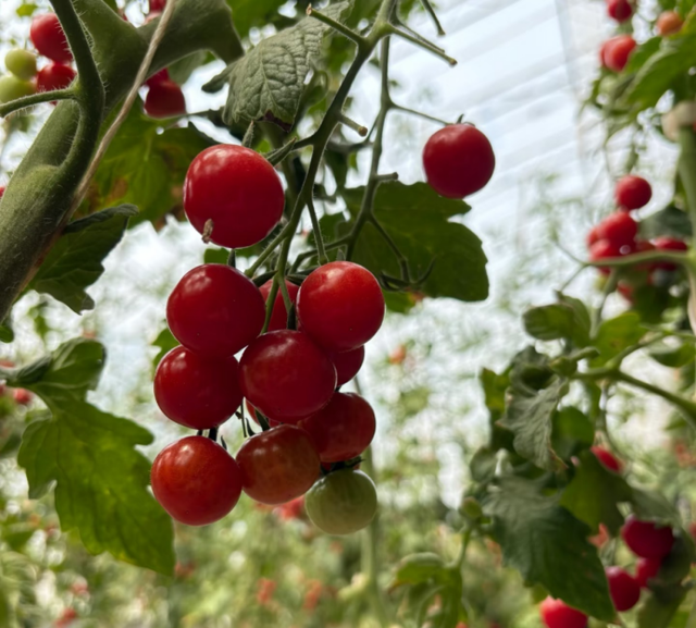 冬蕴万象 | 冬日激情，解锁密云新玩法