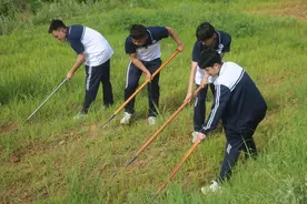 中医药文化与劳动教育如何双向赋能？山东这所高校探出一条新路径图片