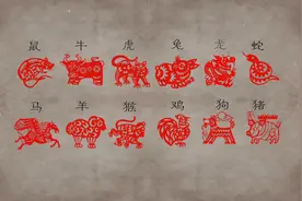 在十二生肖中，龙为什么只排第五？图片