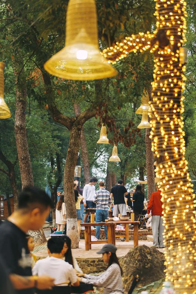 东湖森林烤场焕新开放！大型真香现场