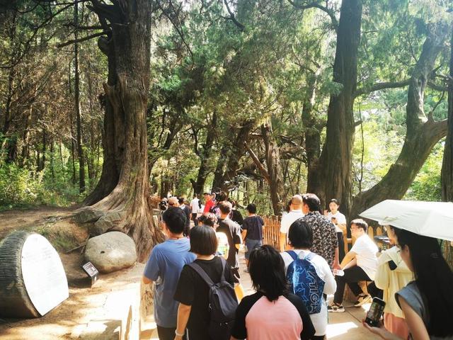 快旅慢游新体验 “坐高铁游广元”成周末度假新宠