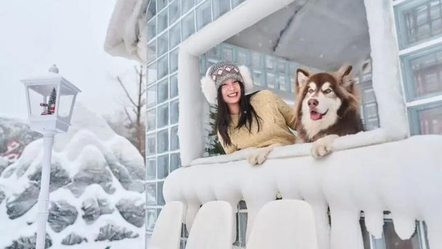 免费申领！白云山冰雪仙境邀您花式玩儿雪！