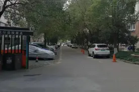 “小区的树木修剪得老灵额！”图片