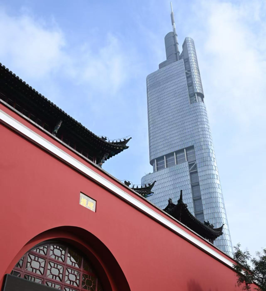 南京鼓楼公园，红红红红红了！