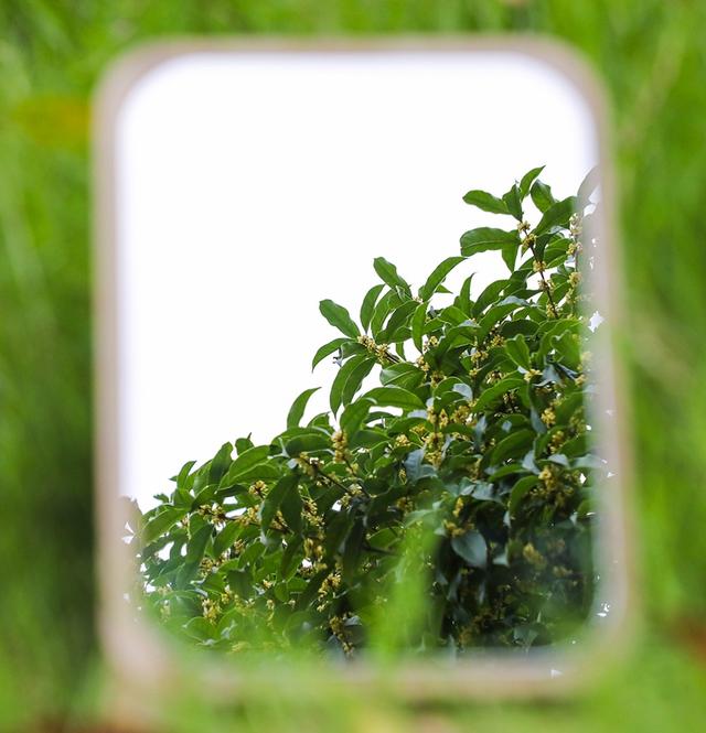 武进绝美打卡地！在嘉泽、湖塘、雪堰、前黄……