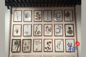 Exploring Guangdong's agricultural history at South China Agricultural Museum图片