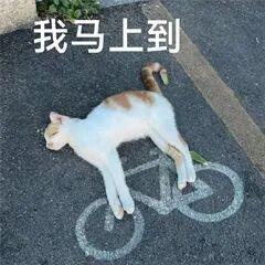 粤B骑行人狂喜！多地网友眼馋：“我要这个”！