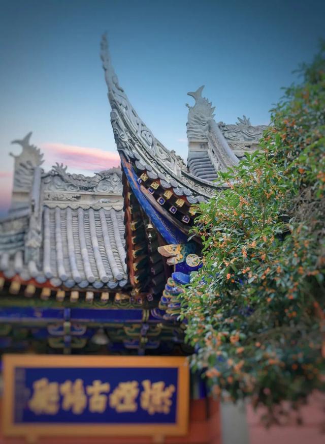 包出片的~城厢古城桂花打卡计划，走起→
