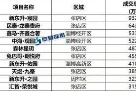 在场｜单盘9.3亿！成交2.8万套！淄博楼市，春天要来？图片