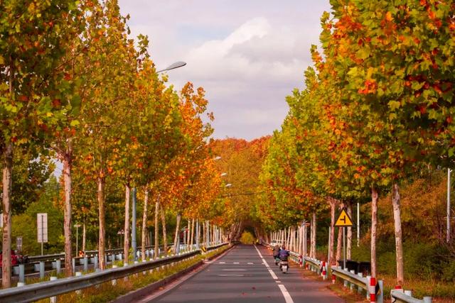 宜兴，一路斑斓！