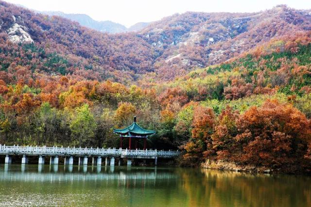 威海这个4A级旅游景区免费！登山看海+千年祈福，初冬盛景不辜负