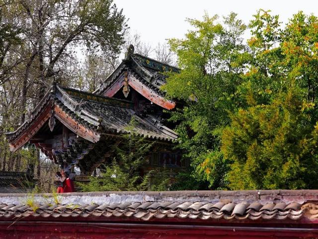 五台山的秋天，太治愈了！