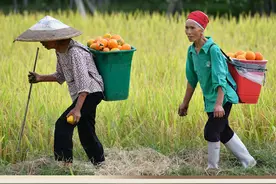 新华每日播报｜9月13日图片