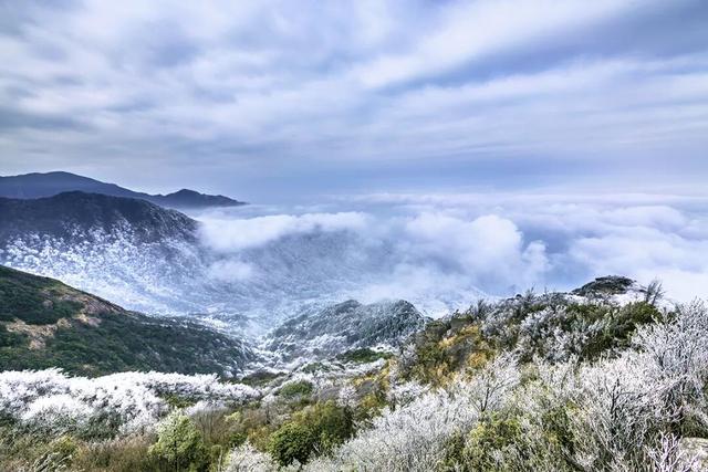 多地下雪！广西限定版“冰雪世界”已上线